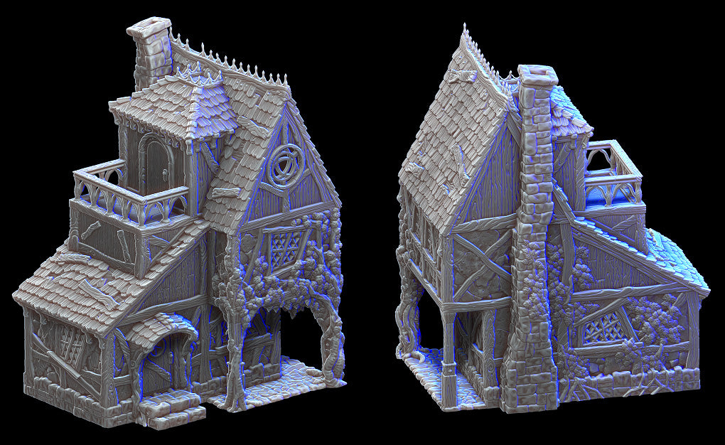 Healer's House - City of Tarok 3D Druckmodell